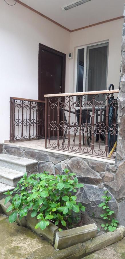 Ira & Vaso'S Guest House Borjomipark Esterno foto